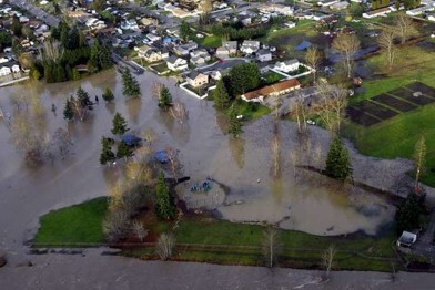 Flood 