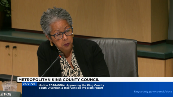 CM Lewis at Committee
