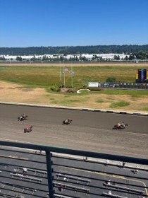 Image of the race horses