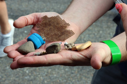 FOD in a hand