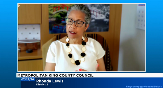 CM Lewis at Council 