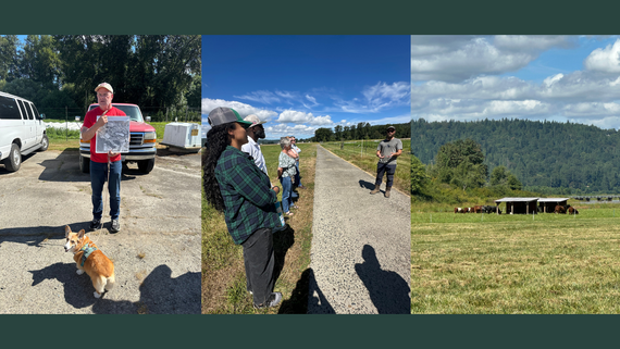 Left: A man stands holding a map with a corgi on a leash. Middle: People stand on a gravel path. Right: A field of long grass with cows.