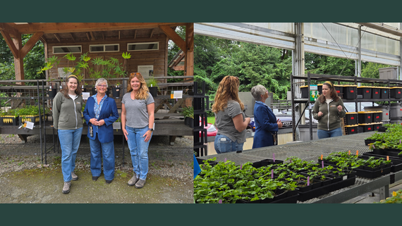 Left: Three women stand in front of a wooden structure filled with plants. Right: A woman stands behind a pallet of plants speaking.