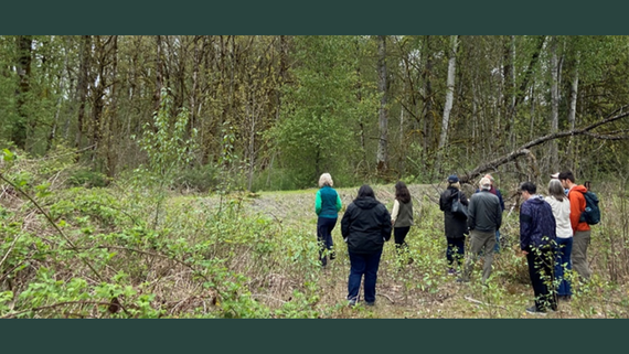A group of people walking through a forest.