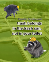 Images of a raccoon with a hard hat and text to read "Operator Jimothy says: trash belongs in the trash can, not your toilet."