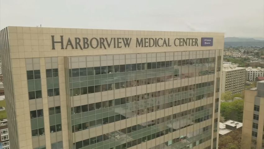 Harborview 