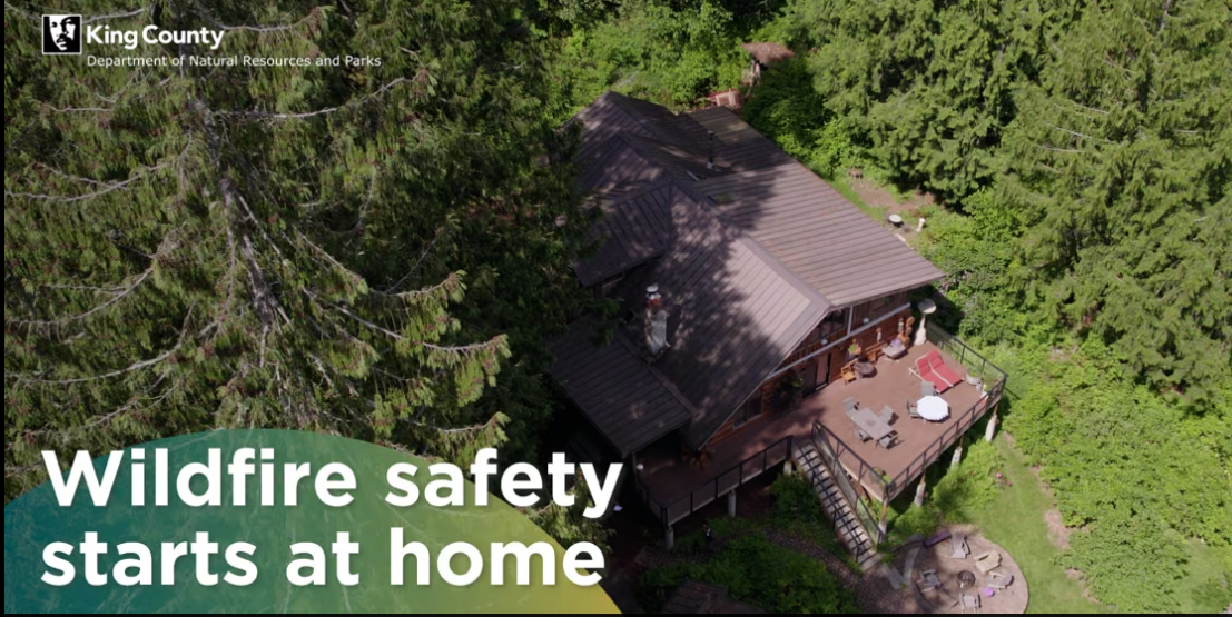 wildife safety