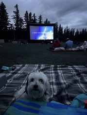 movie night 2