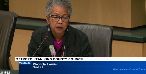 CM Lewis during Council