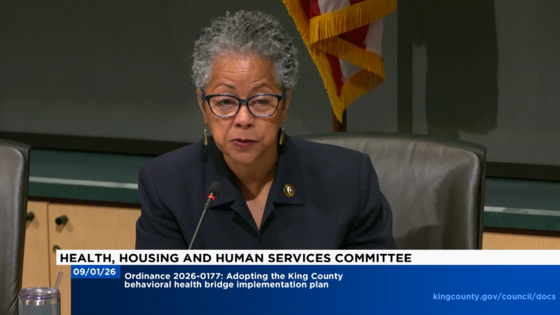 CM Lewis during Health, Housing and Human Services