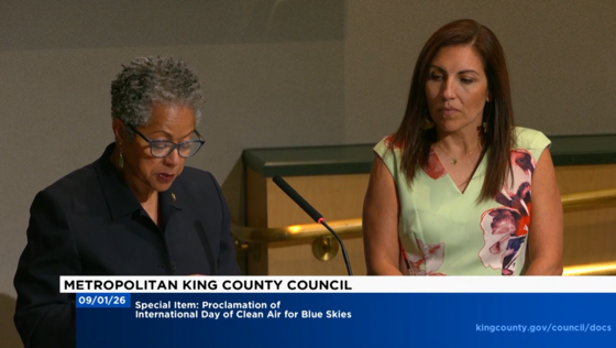 CM Lewis speaking at Council meeting