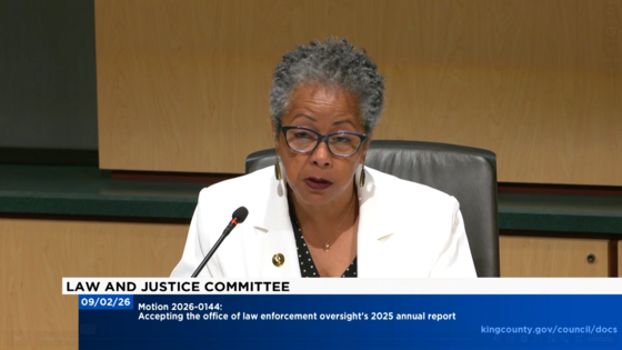 CM Lewis giving remarks at Law & Justice Committee