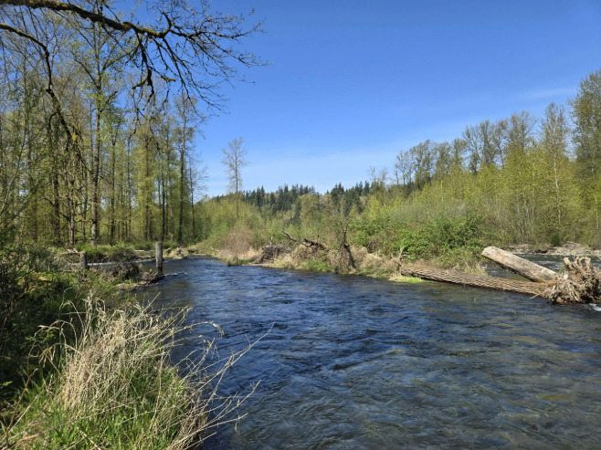 Flood Reduction