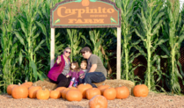 Kent Carpinito Farm