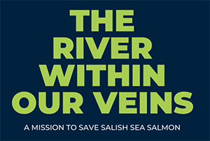 The River within our Veins: a mission to save Salish Sea salmon