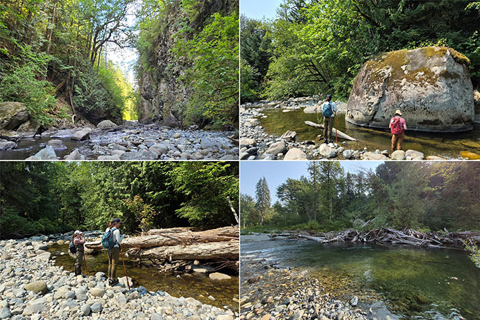 Tolt River and Raging River Surveys