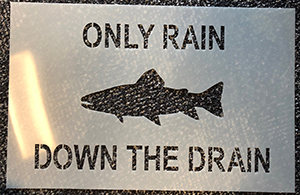 Fish stencil: Only Rain Down the Drain