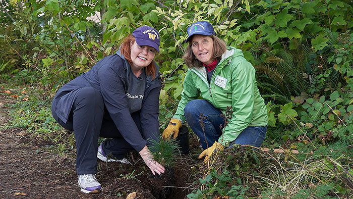 Green Snoqualmie tree planting