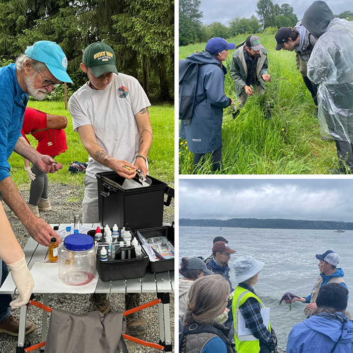 Mosaic of groups of people in outdoor training sessions in green fields and at the Puget Sound shore. 