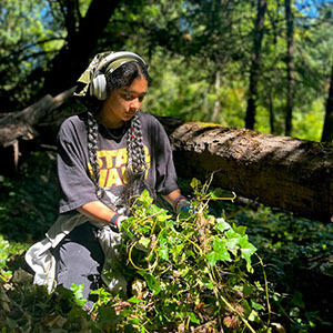 Girl in a Star Wars t-shirt pulling ivy in a sun-dappled forest