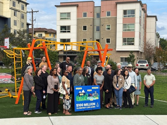 Cheryl Chow Park
