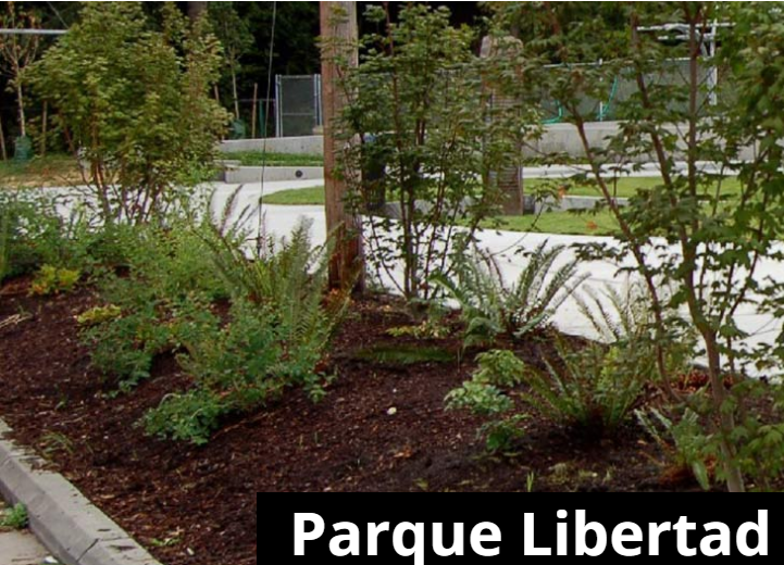 Parque Libertad