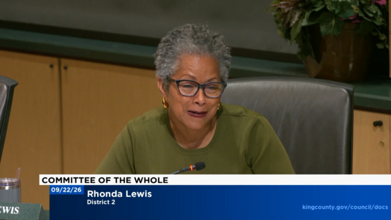 CM Lewis during Committee of the Whole