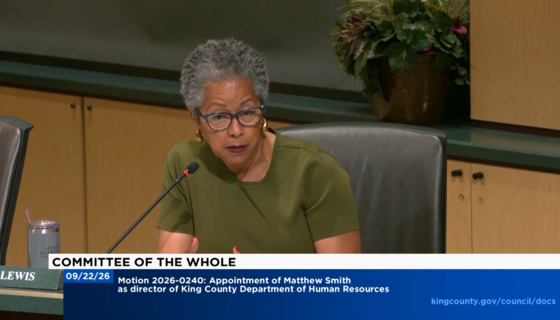 CM Lewis during Committee of the Whole