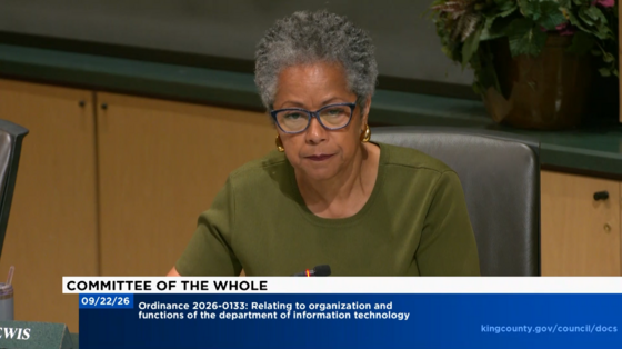 CM Lewis during Committee of the Whole