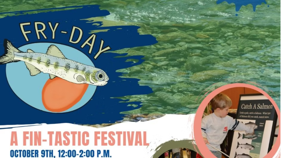 Fry Day 