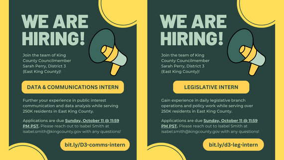 Graphic with a bright yellow and dark green background. Light green title reads, "We Are Hiring!" with a green and yellow megaphone to the right.