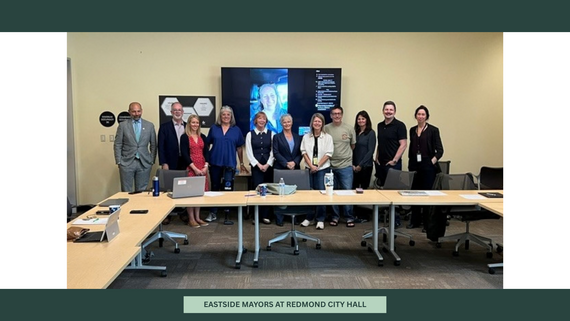 A group of elected officials in business and business casual wear stand, smiling for a photo behind a conference table.