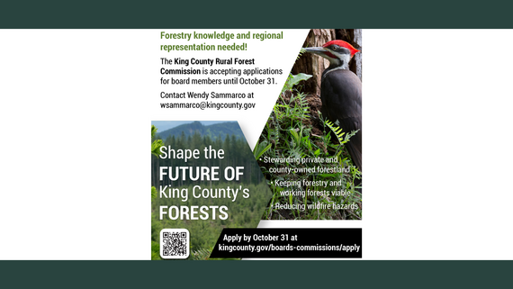 A flyer with photos of mountains, forests, and a woodpecker advertising for board members to the join the King County Rural Forest Commission.