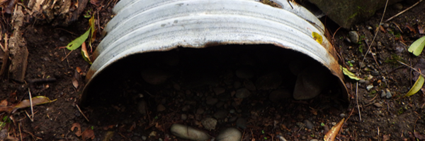 clogged drain