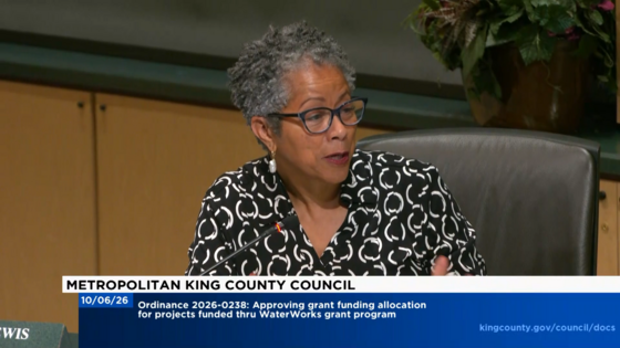 CM Lewis during Council