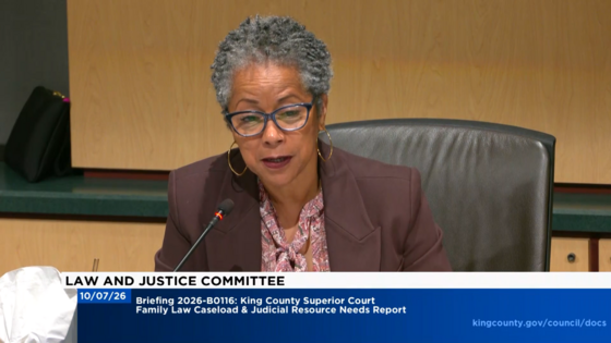CM Lewis during Law & Justice Committee