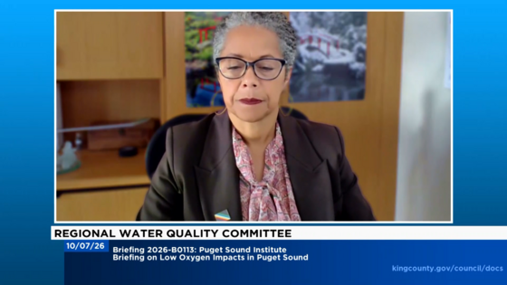 CM Lewis during Regional Water Quality Committee  