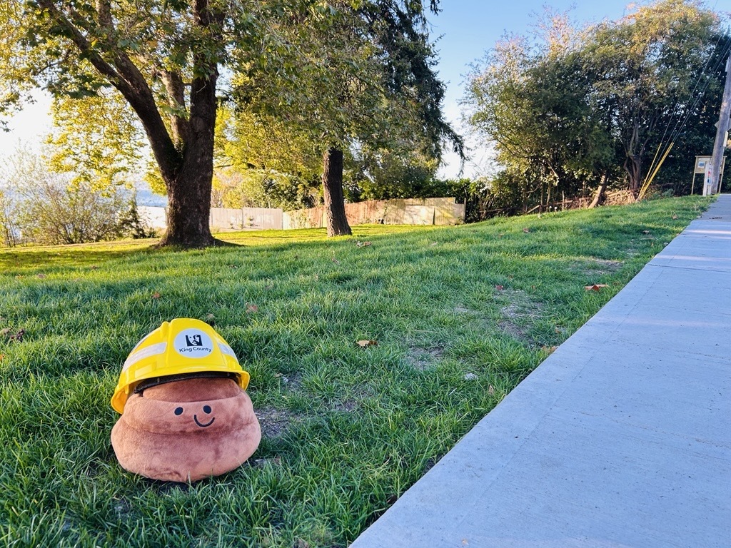 Smiling poop emoji plushie wearing a construction hardhat on grass next to a sidewalk.