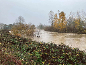 FloodingontheGreenRiver