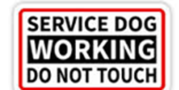 Service Dog Working