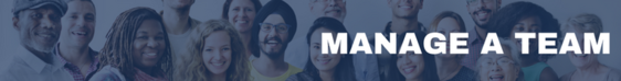Manage a Team