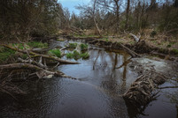 bear creek watershed 2
