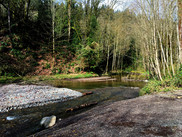 coal creek park stream