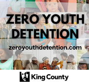 Zero Youth Detention
