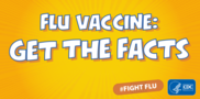 flu vaccine facts