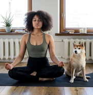 yoga meditation dog
