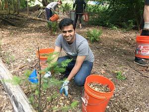 Green Kirkland Partnership volunteer