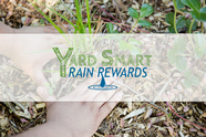 Yard Smart Rain Rewards