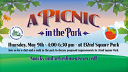 Picnic in the Park 