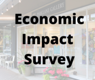 Economic Impact Survey